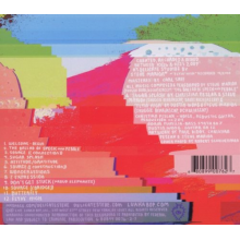 Delicate Steve - Wondervisions