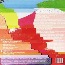 Delicate Steve - Wondervisions