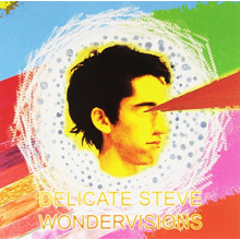 Delicate Steve - Wondervisions