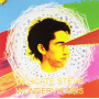Delicate Steve - Wondervisions