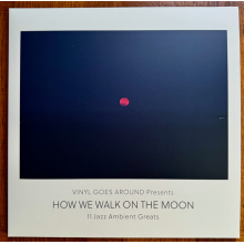 V/A - How We Walk On the Moon