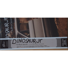 Dinosaur Jr. - The Black Session