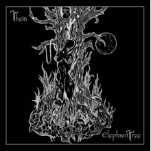 Elephant Tree - Theia