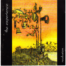 Experience - Realusion