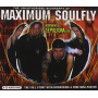 Soulfly - Maximum Soulfly
