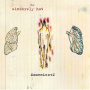 Domenico - Sincerely Hot