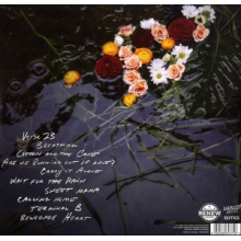 Amy Helm - What the Flood Leaves Behind