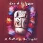 Kilgour, David - A Feather In the Engine