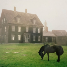 Lutalo - The Academy