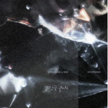 Mint Field - Aprender a Ser: Extended