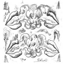 What Are People For? & Notwist - 7-Criminals / Illusions