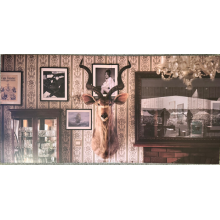 Angus & Julia Stone - Cape Forestier