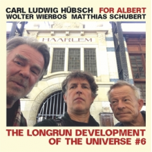 Hubsch, Wierbos & Schubert - For Albert; the Longrun Development of the Universe