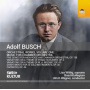 Buschkollegium - Orchestral Works Volume One: Music For Chamber Orchestra