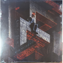 Rezz - Can You See Me?