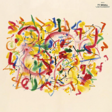 Segall, Ty - Love Rudiments