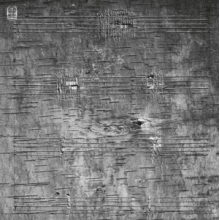 Archambault, Timothy - Onimikig