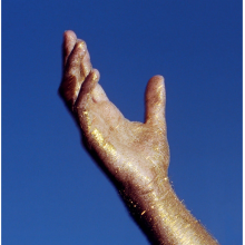 Radicant - We Ascend