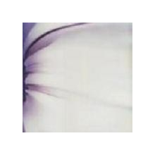 Sonna - We Sing Loud & Soft