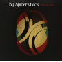 Big Spider's Back - Memory Man
