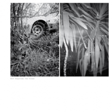 Templeton, Mark - Two Verses