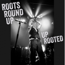 Roots Round Up - Up Rooted