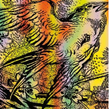 V/A - One Swallow Doesn T Make a Summer Part 7