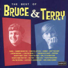 Bruce & Terry - Best of