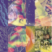 Nap Eyes - The Neon Gate