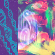 Nap Eyes - The Neon Gate