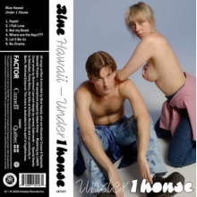 Blue Hawaii - Under 1 House