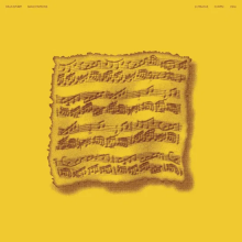 Spunt, Dean - Basic Editions