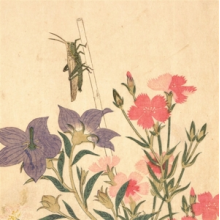 Chypho - Entomongaku Ii