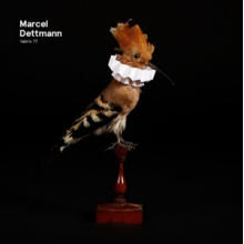 Dettmann, Marcel - Fabric 77 Marcel Dettmann