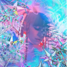 Miglis, Nicole - Myopia