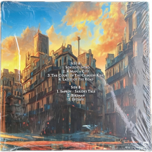 21st Century Schizoid Band - Live In Italy