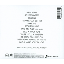 Bleachers - Strange Desire