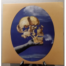 Sun Angle - Skullflower