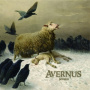 Avernus - Grievances