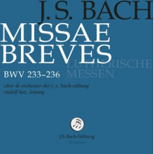 Choir & Orchestra of the J.S. Bach Foundation & Rudolf Lutz - Bach: Missa Breves - Lutheran Masses Bwv 233-236