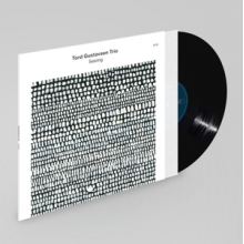 Tord Gustavsen Trio - Seeing