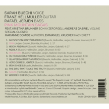 Buechi, Sarah & Franz Hellmueller & Rafael Jerjen - Pink Mountain Sagas