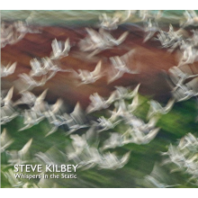 Kilbey, Steve - Whispers In the Attic