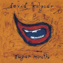 Kilgour, David - Sugar Mouth