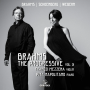 Napolitano, Pina - Brahms the Progressive Vol.3