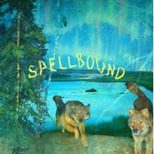 Boyscott - Spellbound