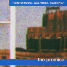 Moore, Thurston - Promise