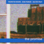 Moore, Thurston - Promise