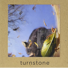 Turnstone - Turnstone