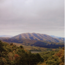 Dirty Projectors + Bjork - Mount Wittenberg Orca
